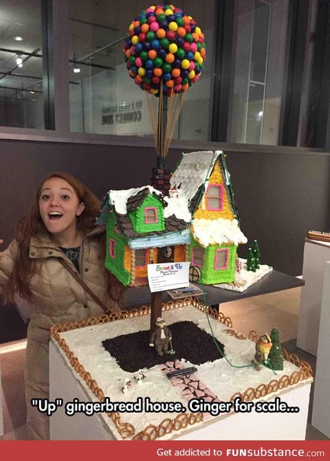 Gingerbread house from the movie 'up'