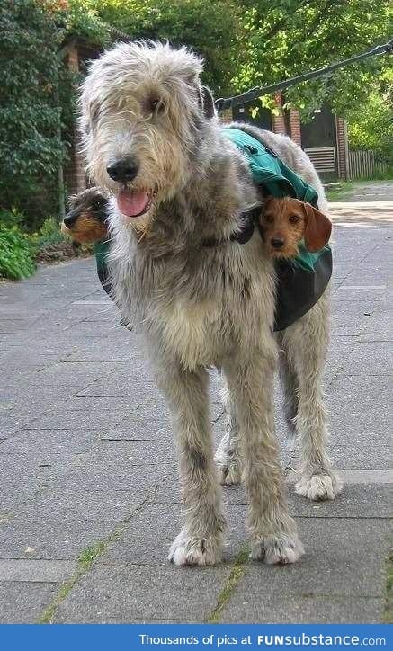 Subwoofers