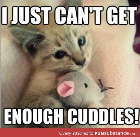 Cuddles! <3