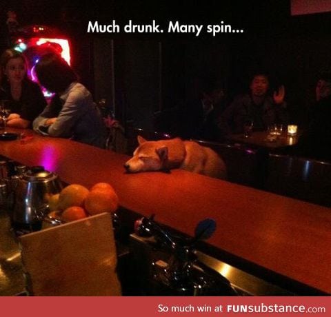 Ruff night, doge