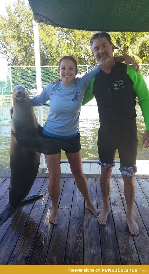 The look on that seals face