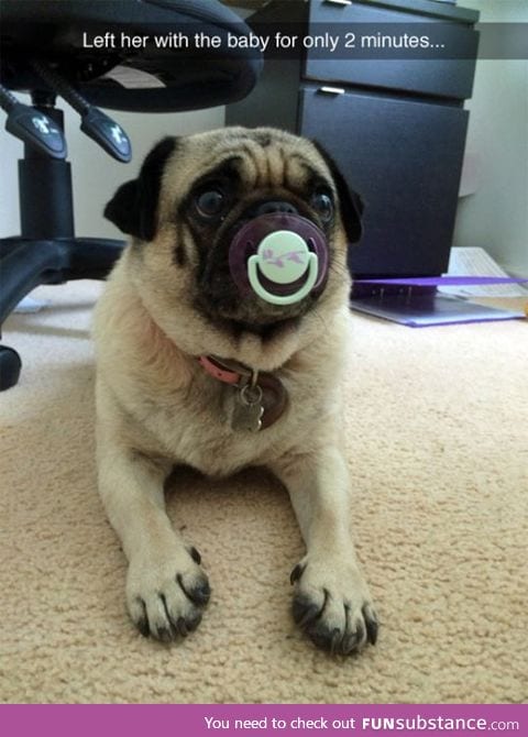 He wants to be a baby too