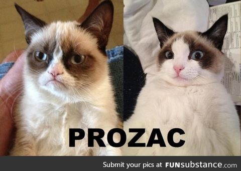 Before and after