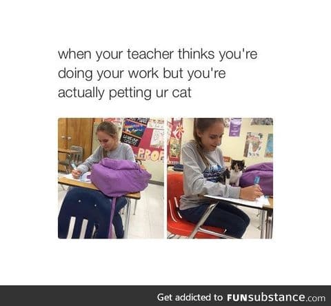 I need to get a cat