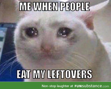 sad cat meme