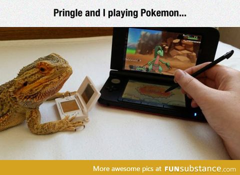 The best game couple