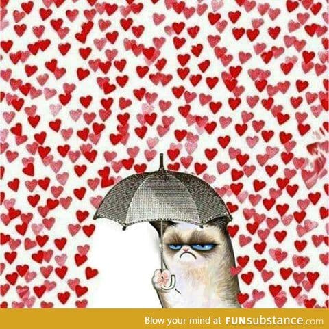 How I feel in February