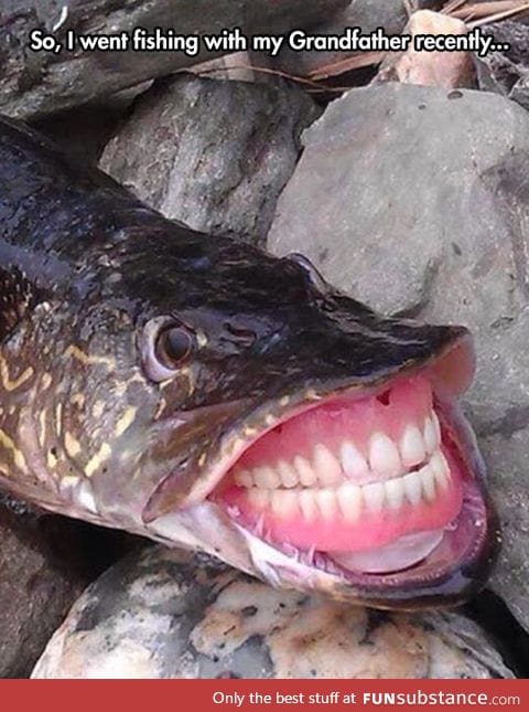 Fish teeth