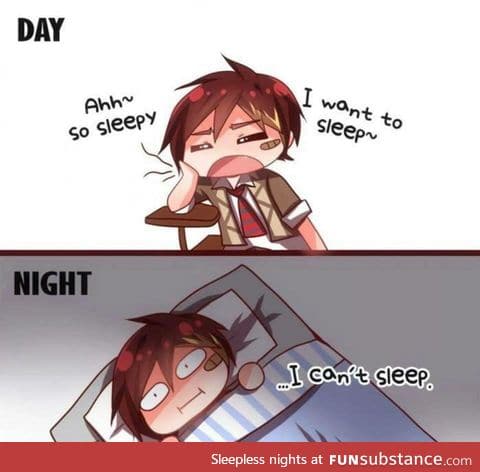 My life in one pic