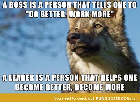 Boss vs. Leader