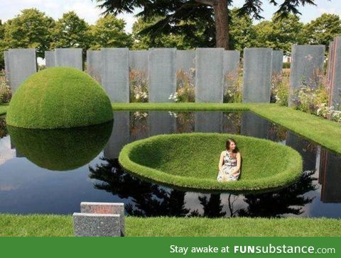 Interesting landscaping