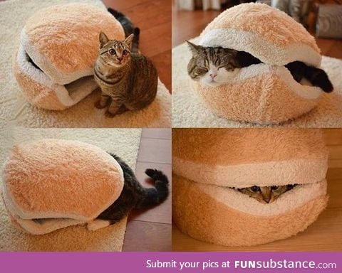 Hot cat burger