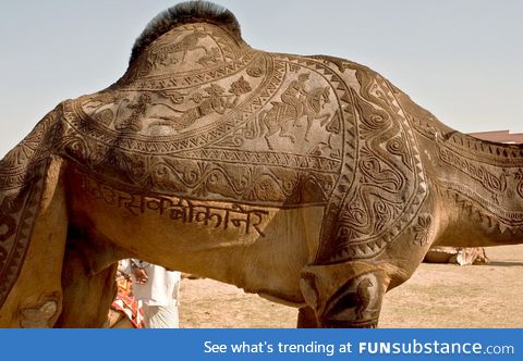 Camel haircut