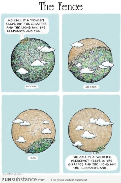 The Fence