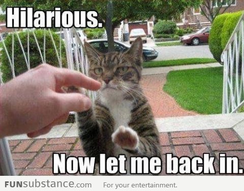 That's hilarious