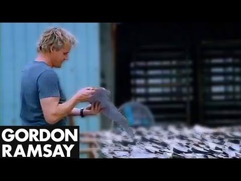 Gordon Ramsey was doused in gasoline while investigating the illegal shark fin market