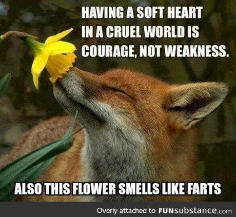 So wise