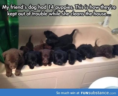 Keeping puppies away