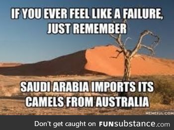 God damnit Saudi Arabia