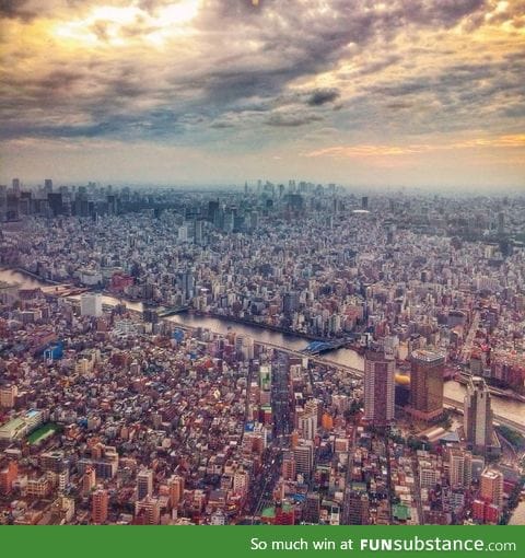 Tokyo from above