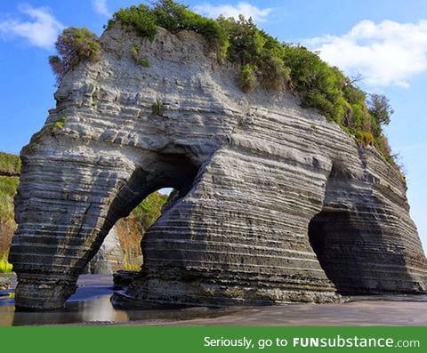 Elephant rock in new zealand