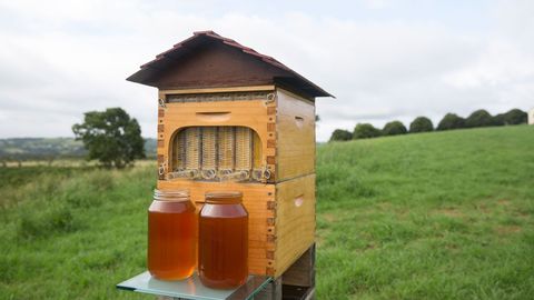 Flow™ - An easy way to extract honey from bee hives