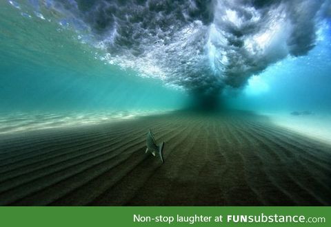 Calm under the waves