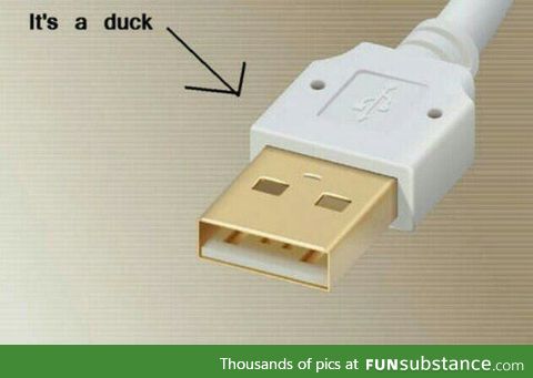 Anyone else got a usb plug like this?