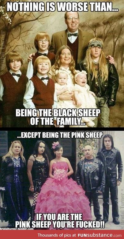 The Black Sheep