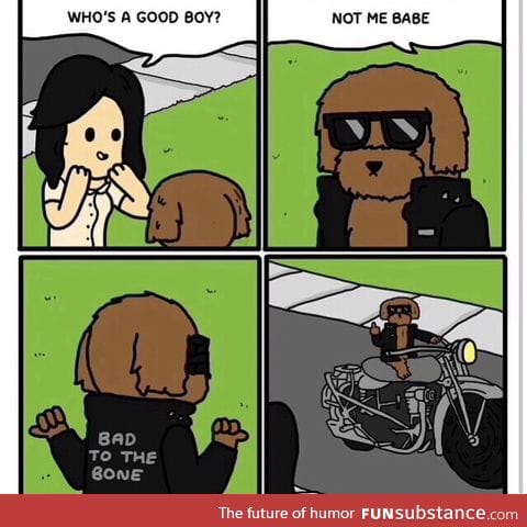 So what if your dog says it with a manly voice.. that's scary