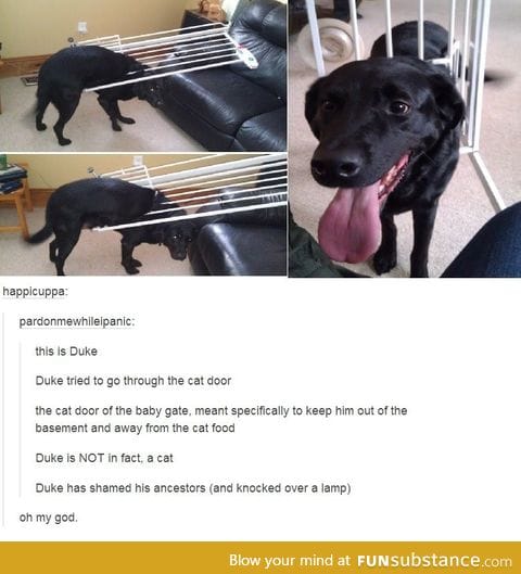 Duke