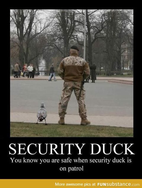 Da ducky