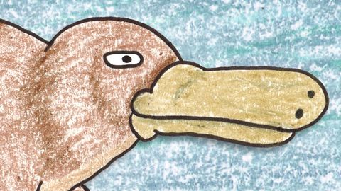 #relatablePlatypus