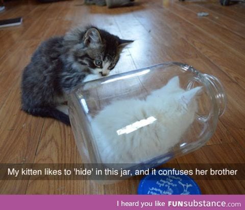 Hiding in the jar