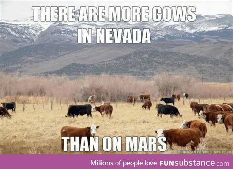Fun fact #1