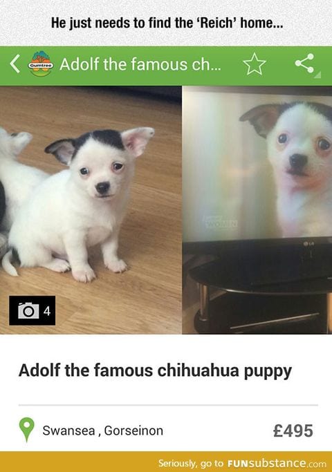 I want him to be mein