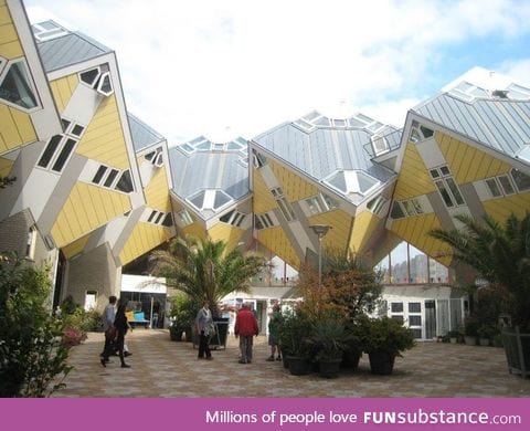 These houses look like they've never seen people before