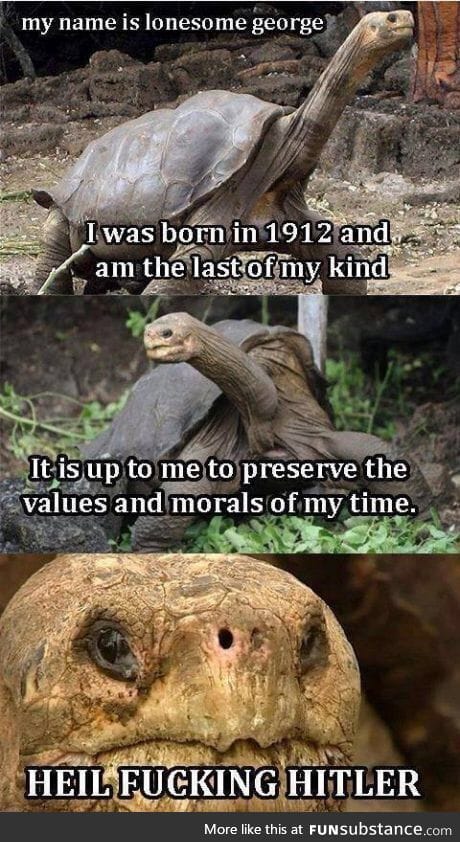 I think I know what my 200th post will be
