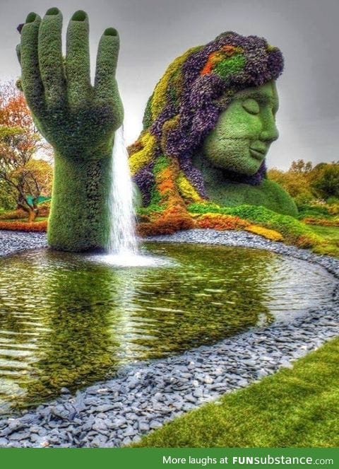 Montreal botanical garden