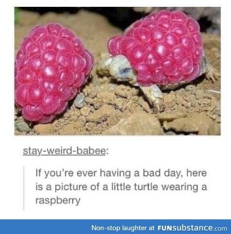 Too cute though