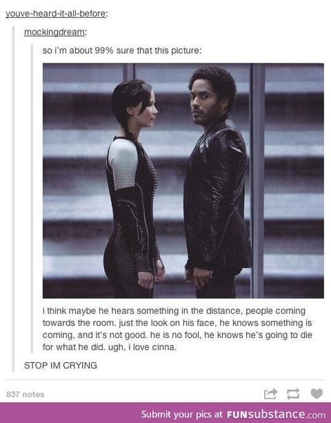 Anyone else think Cinna was sorta like a father figure for Katniss?