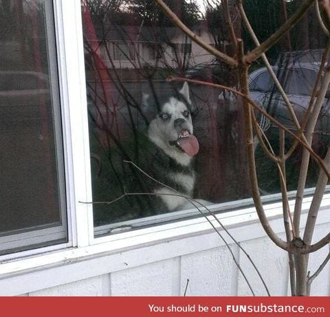 Moon Moon is waiting for you to get off work