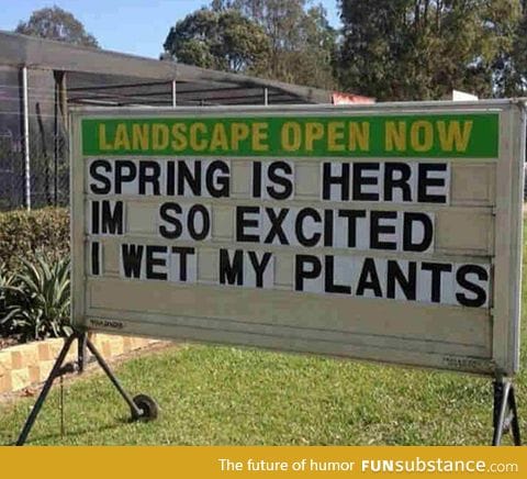 Spring is here to stay