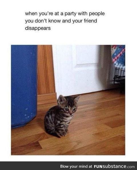 Friends..Why have you forsaken me?!