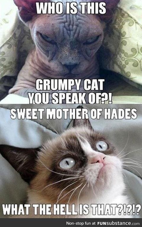Just when you thought grumpy was mean