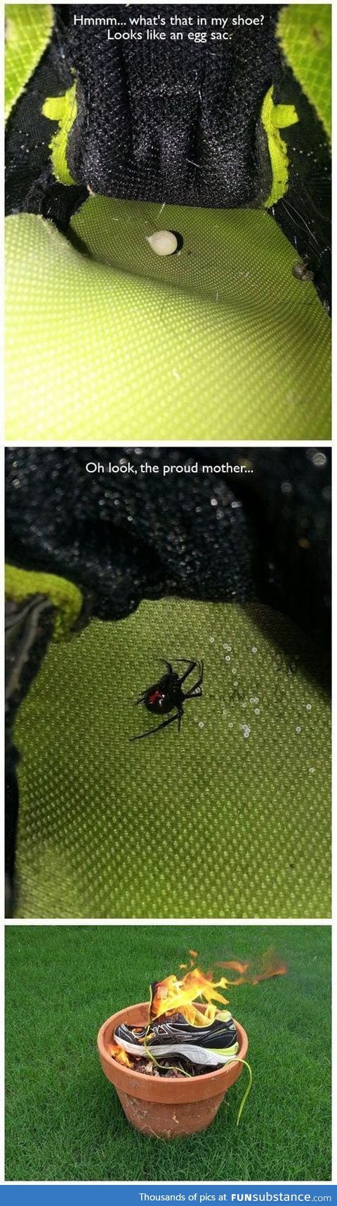 What's that in my shoe?