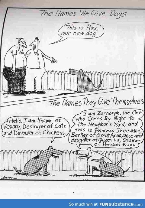 Weekly Dose of Larson #4: I would have expected this from cats, actually