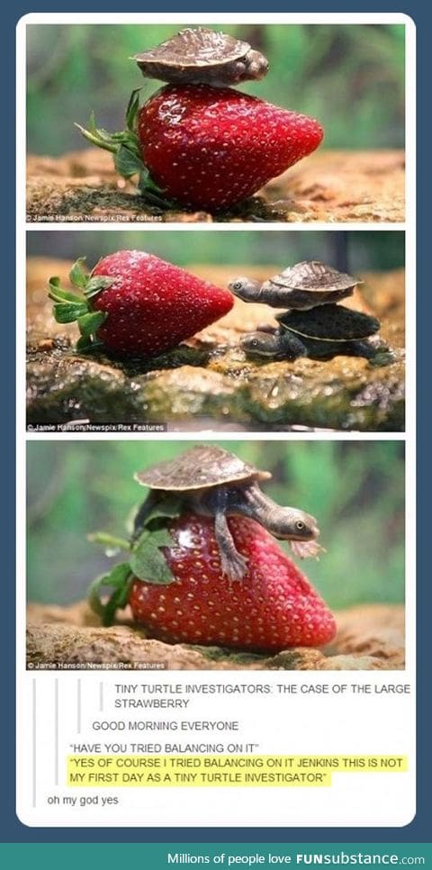so so cute.