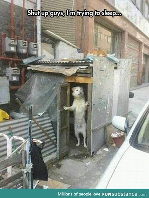 Keep It Down Guys, I've Had A Ruff Night
