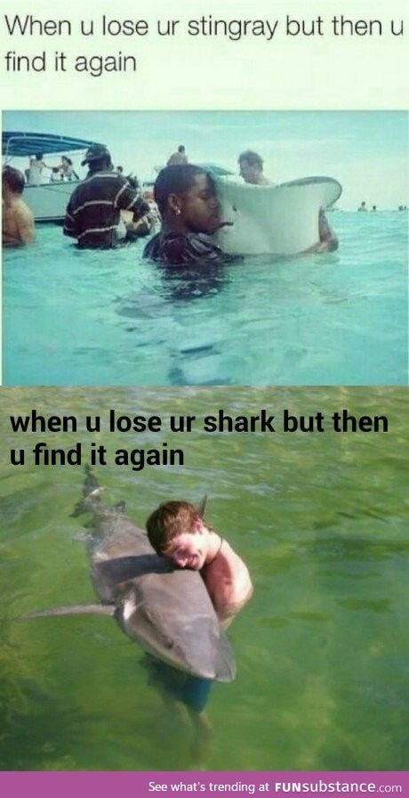To the guy who lost his stingray